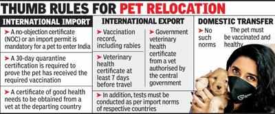 Pets Journey As Pandemic Sees Families Shift Homes Visakhapatnam News Times Of India