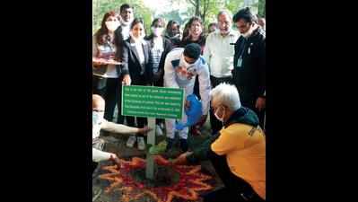 Hundred saplings of Palash to mark Lucknow University centenary year