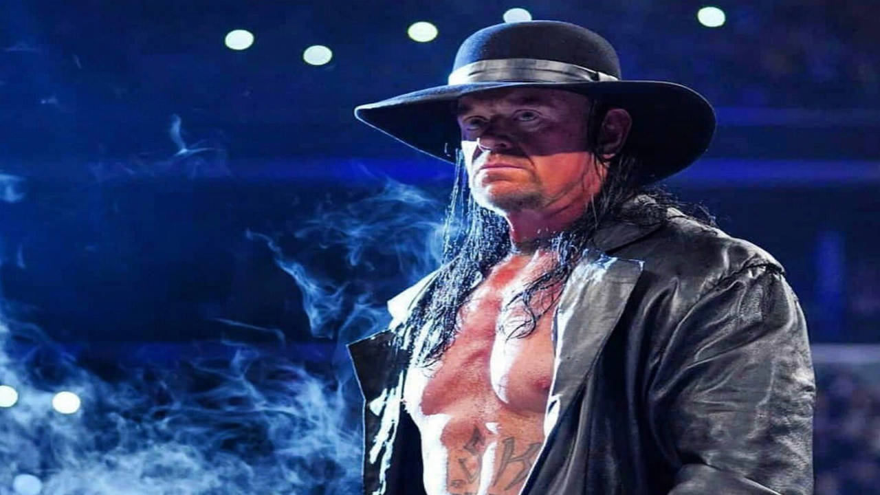 WWE Roman Reigns vs Undertaker Battle Pack Series India | Ubuy