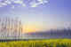 Punjab, through a myriad lens