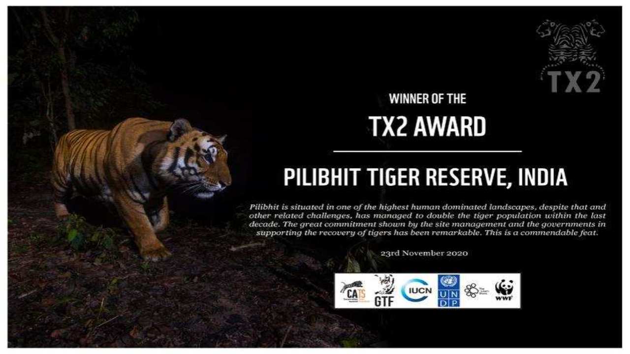 PTR gets first global award for doubling tigers population in 4 yrs