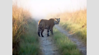 Uttar Pradesh: Pilibhit tiger reserve gets the first TX2 award