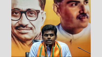 BJP leader Annamalai dares DMK’s Senthil Balaji to contest from Aravakurchi