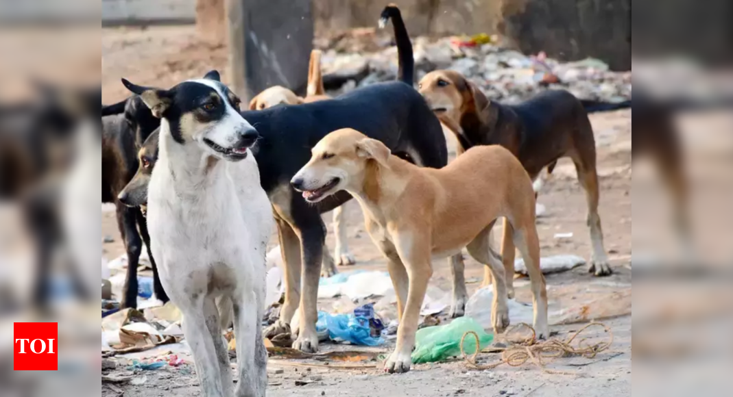 Tamil Nadu: Just 11 pet shops in four districts register with animal ...