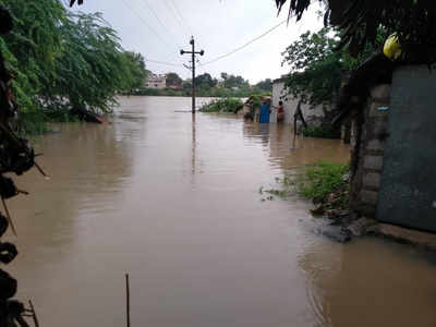 Cyclone Nivar: South Andhra Pradesh and Rayalaseema under alert ...