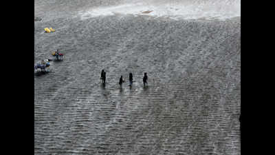 Chennai rains: Water bodies in Chengalpet, Kanchi 75% full