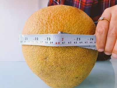India's largest orange by circumference found in Nagpur farm