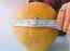 India's largest orange by circumference found in Nagpur farm