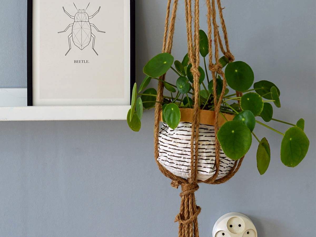 Hanging Planters Stylish hanging planters for your indoor plants ...