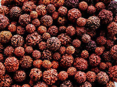 Which Rudraksha is best for students?