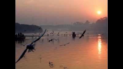 High ammonia content in Yamuna; water supply likely to be hit in Delhi