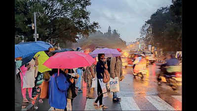Nivar leaves Bengaluru drizzly; two more days of rain likely