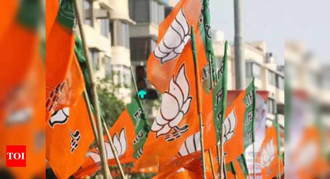 BJP makes organisational appointments in states | India News - Times of  India