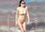 Photos: 'Baywatch' actress Alexandra Daddario turns up the heat at Hawaiian beach in a bikini