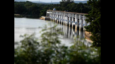 Tamil Nadu: Shutters of Poondi reservoir opened after five years