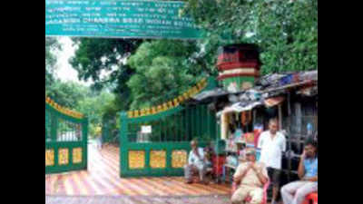 West Bengal: Botanic Garden reopen today after Covid break