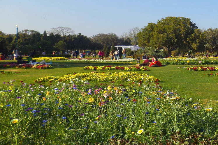 Inside Delhi's greenest spaces | Times of India Travel