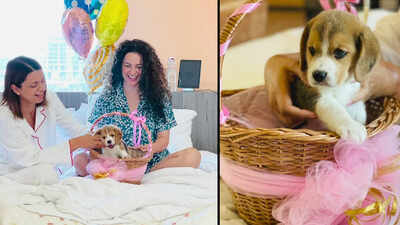 Kangana Ranaut gifts sister Rangoli Chandel a cute little dog, pens a warm birthday note