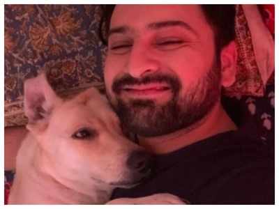 Photo: Siddharth Chandekar shares an adorable selfie with his furry friend Dora