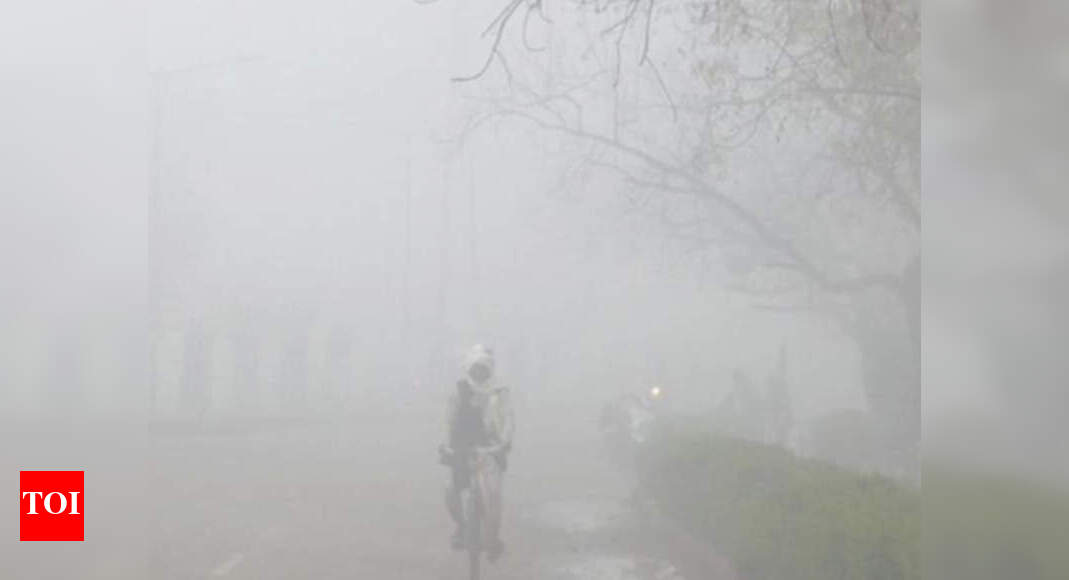 Moderate fog in Agra region in next five days: Met office | Agra News ...