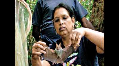 Film on bat woman by Puducherry filmmaker wins award