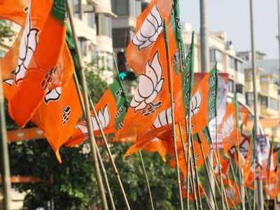 A jubilant BJP celebrates impressive performance in Hyderabad polls