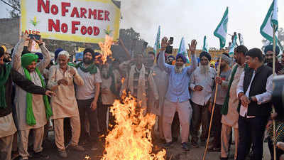 Farmers protest: Govt seeks more time for consultation on farmers' demand; next meeting on December 9