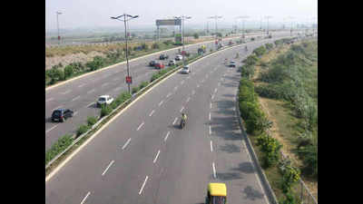 80% saplings planted along Delhi highways okay: NHAI
