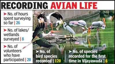 In a first, Vij holds waterbird census