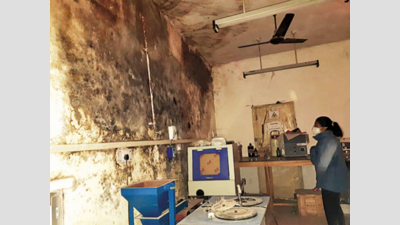 Delhi: Termites destroy research samples at JNU laboratory