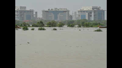 Ensure there’s no untreated sewage in Yamuna: CPCB to Delhi Jal Board