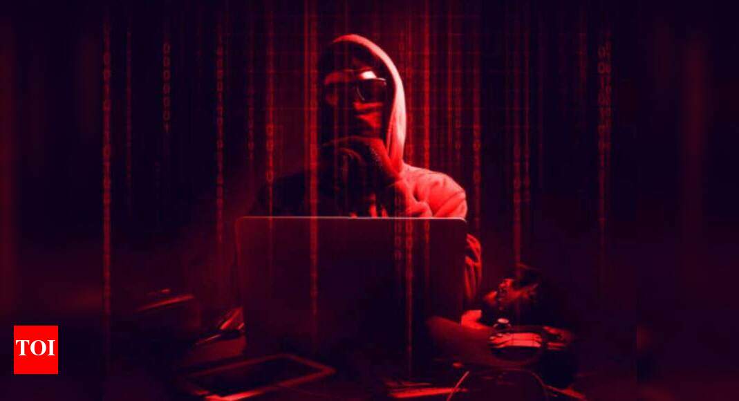 Moroccan geeks flock to 'paradise for hackers' - Times of India