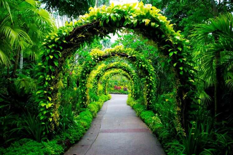 Enjoy nature walks at Singapore Botanic Gardens