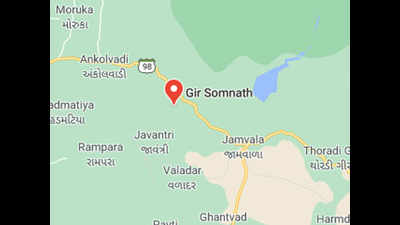 Gujarat: 19 mild earthquakes felt in Gir Somnath; no casualties