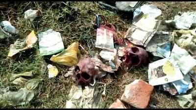 4 human skulls found in Panki garbage dump