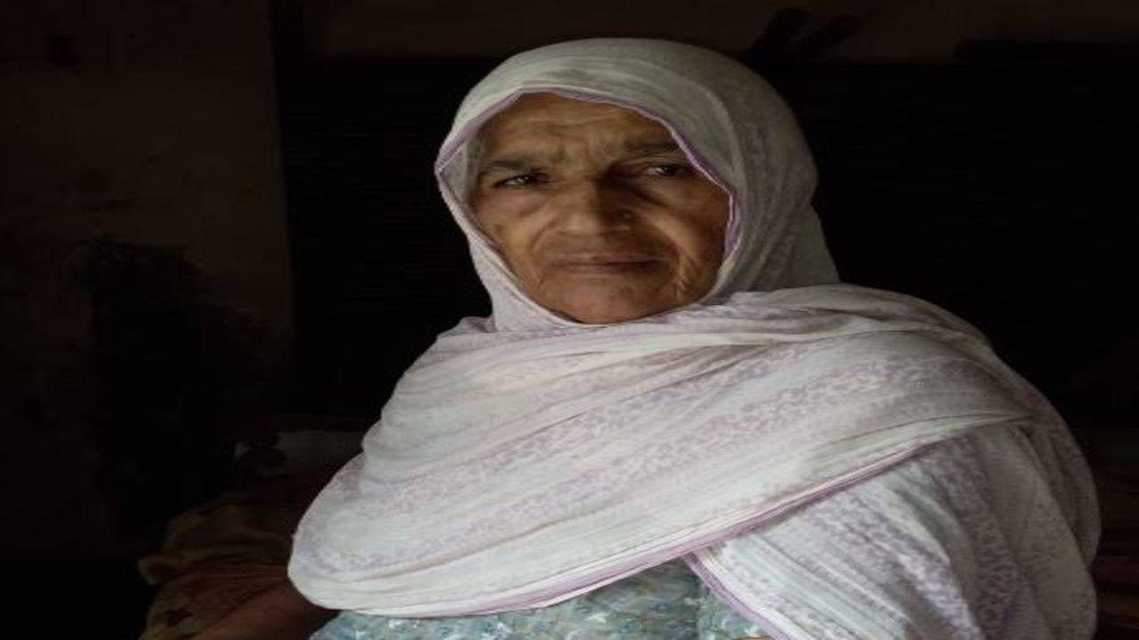 Punjabi old lady sex