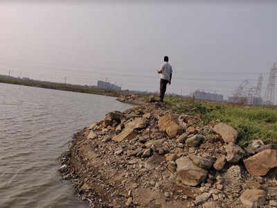 Greens angry with Raigad collector's stand of 'No wetlands in Uran'