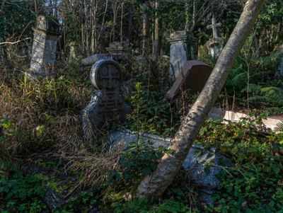 Climate change threatens London's Karl Marx cemetery