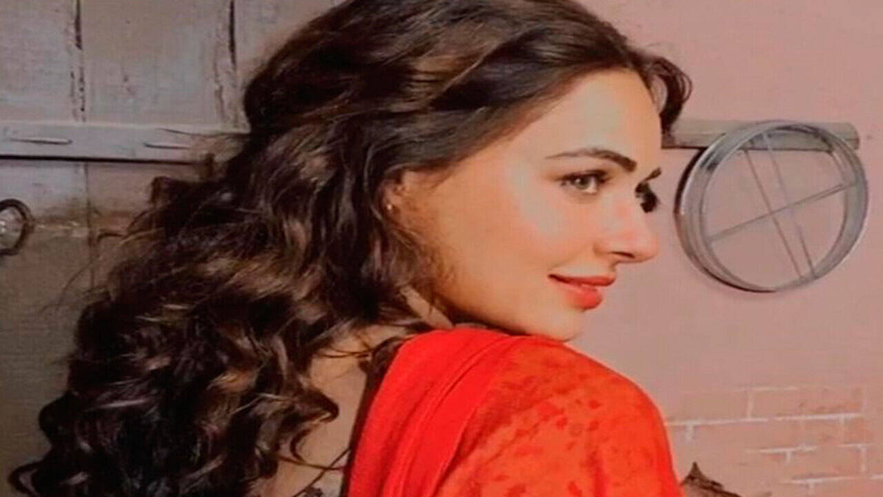 Mandy Takhar looks stunning in her latest picture | Punjabi Movie News -  Times of India