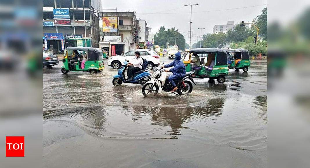 Barodians wake up to drizzles, foggy weather | Vadodara News - Times of ...