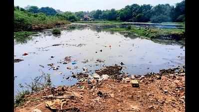 Six-point plan by SCB to revitalise Trimulgherry lake