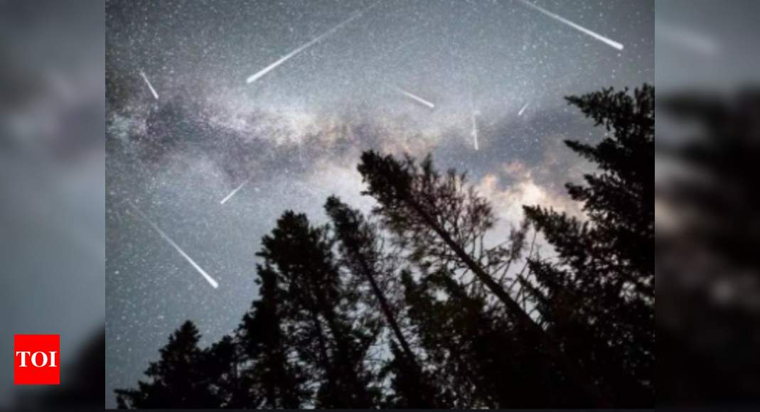 Spectacular Geminid Meteor Shower Will Enthral Skygazers India News Times Of India