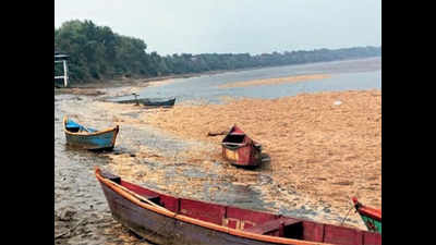 Vadodara: More toxic effluents on Mahisagar riverbank renew old worries