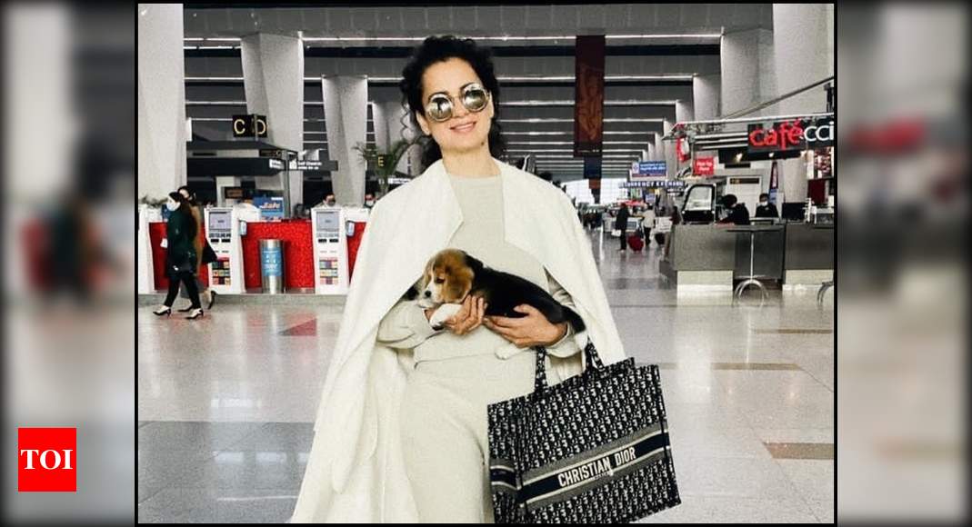 Kangana Ranaut takes her furry friend Gappu home for the first time; sister Rangoli Chandel shares a paww-dorable picture – Times of India