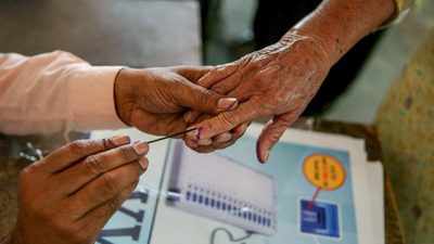 Govt for wider consultations before allowing postal ballots for overseas Indians