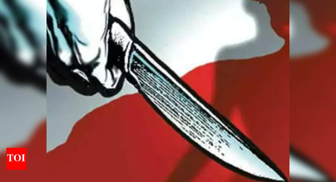 Indian-origin man given indefinite hospital order over fatal stabbing in UK - Vimarsana News