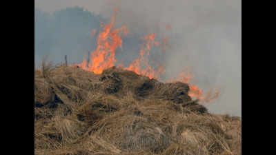 Satellite records 4,600 crop residue burning cases in UP till Nov 30