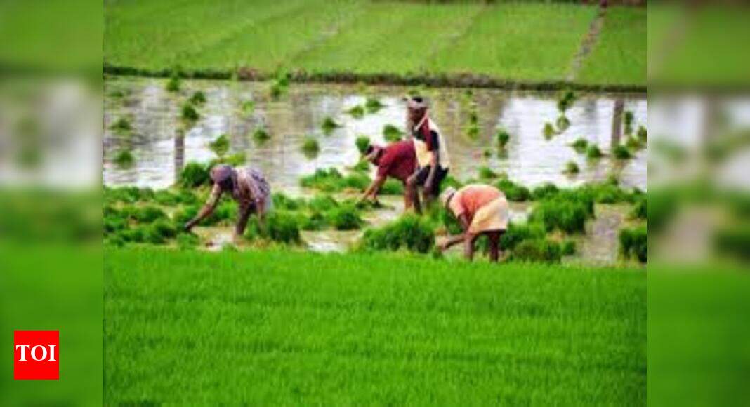 Farmers advised to opt for collective farming | Coimbatore News - Vimarsana News