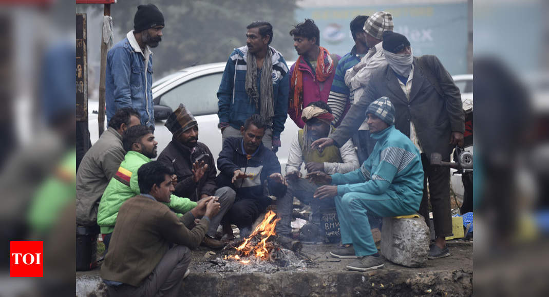 Biting Cold Grips North India Eight Killed In Up Accident Due To Fog India News Times Of India