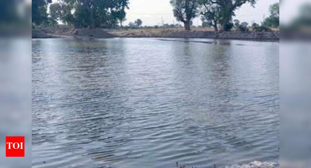 Bihar 144 new water bodies to boost rural economy Patna News Times